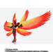 S.H.Figuarts Shinkocchou KAME RIDER OOO TAJADOL COMBO FINAL EPISODE Ver. NEW_5