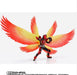 S.H.Figuarts Shinkocchou KAME RIDER OOO TAJADOL COMBO FINAL EPISODE Ver. NEW_6