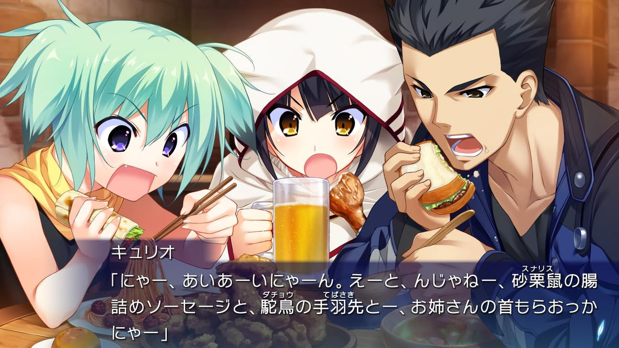 Nintendo Switch Hatsumira from the future undying Boxed Edition HAC-P-BFMLA NEW_8