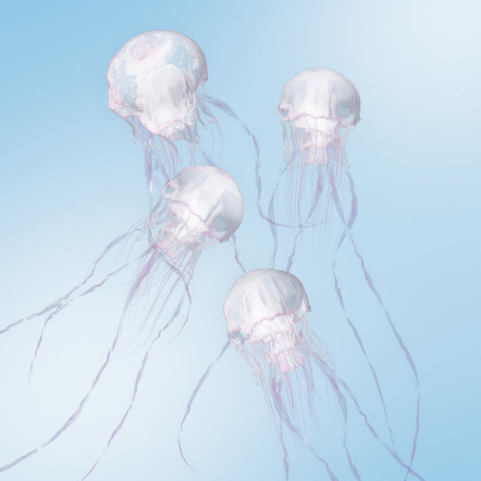 [CD] LUMINOUS Normal Edition SCANDAL VICL-65949 J-Rock Original Full Album NEW_1