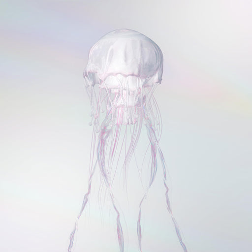 [CD+Blu-ray] LUMINOUS with GOODS Limited Edition SCANDAL VIZL-2304 J-Rock NEW_1