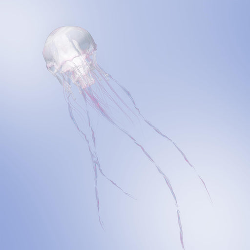 [CD+Blu-ray] LUMINOUS Type A First Press Limited Edition SCANDAL VIZL-2305 NEW_1