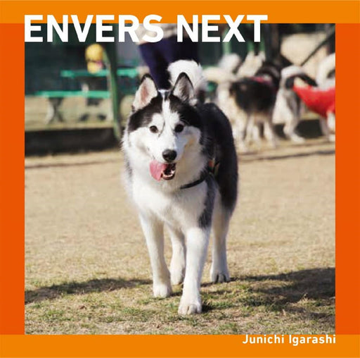 [CD] ENVERS NEXT Nomal Edition Junichi Igarashi MUCE-1068 composer, arranger NEW_1