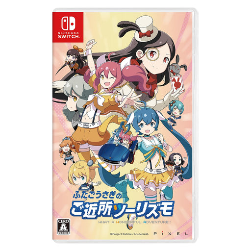 Neighborhood tourism of twin rabbits Nintendo Switch Drive Action HAC-P-BGVBA_1