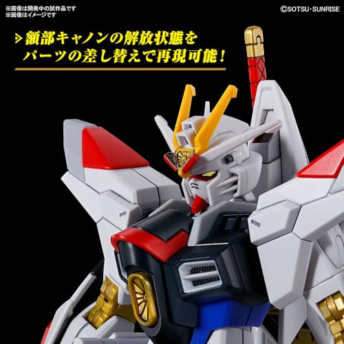 HG 1/144 Gundam SEED FREEDOM Mighty Strike Freedom Gundam Model Kit ‎2679242 NEW_8