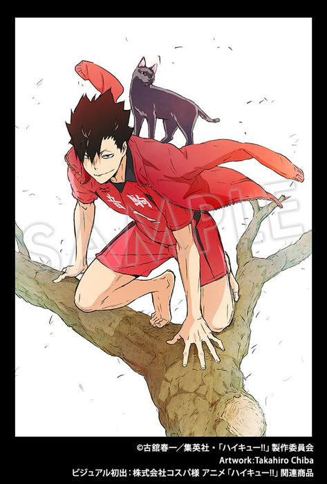 Kotobukiya Artfx J Haikyu!! Tetsuro Kuroo 1/8 PVC Painted Figure Anime & Manga_7