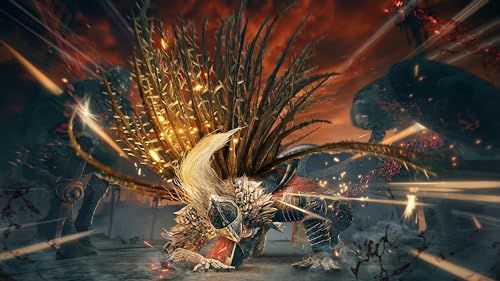 PS5 ELDEN RING SHADOW OF THE ERDTREE Collector's Edition Game Disc FSCE-00009_4