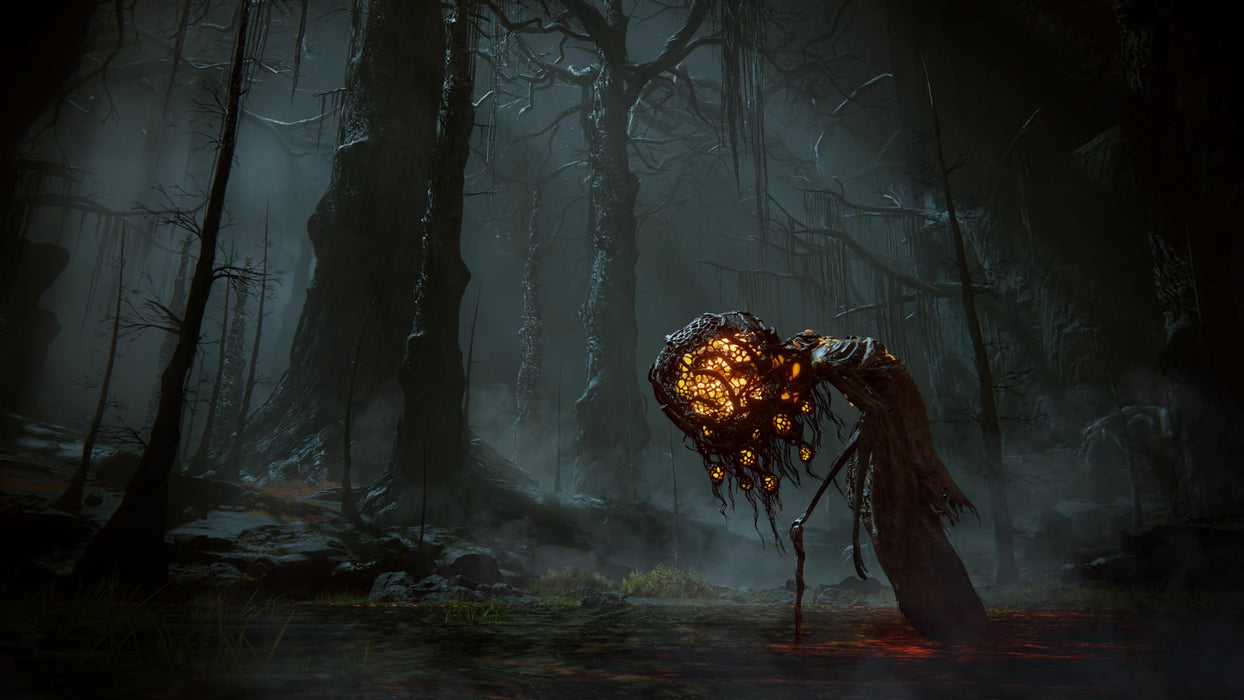 PS4 ELDEN RING SHADOW OF THE ERDTREE EDITION Special Package PLJM-17352 NEW_5