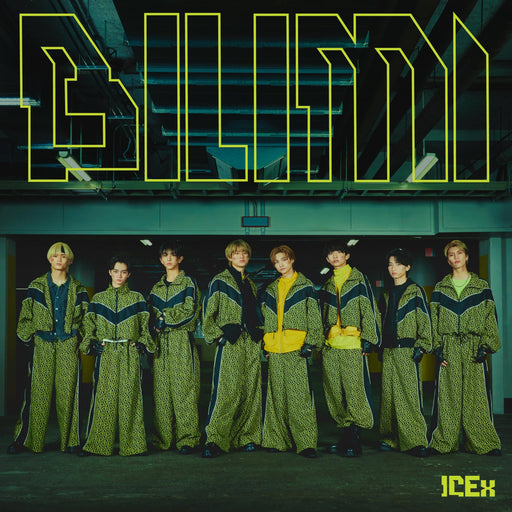 [CD+Blu-ray] Birimi Type B First Press Limited Edition ICEx VIZL-2314 J-Pop NEW_1