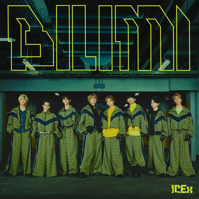 [CD+Blu-ray] Birimi Type B First Press Limited Edition ICEx VIZL-2314 J-Pop NEW_1