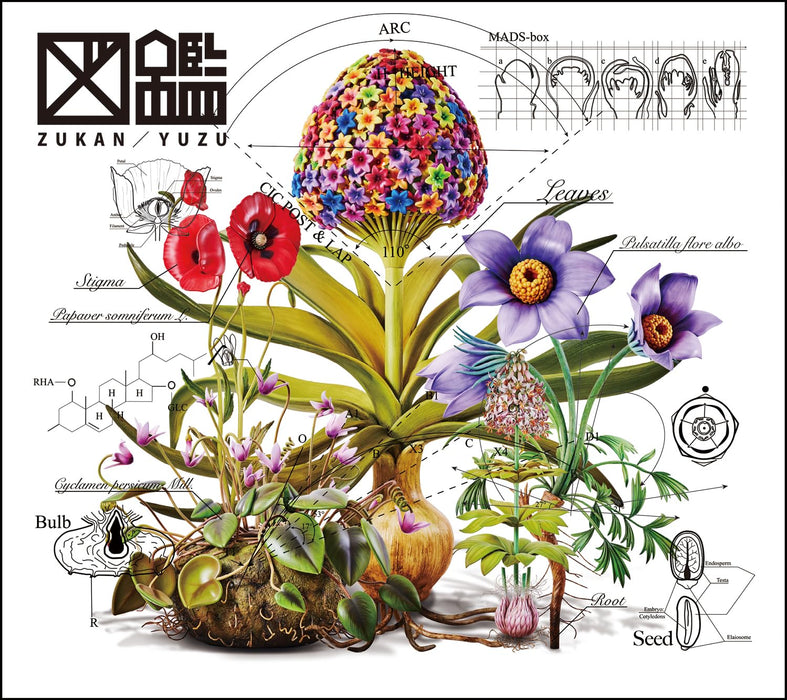 Yuzu Zukan [CD+DVD] First Press Limited Edition TFCC-81089 J-Pop Duo Album NEW_1