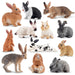 TOYMANY Pack in 12 pcs Rabbit Miniature Figure Realistic Animal ‎Model 6+ NEW_1