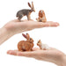 TOYMANY Pack in 12 pcs Rabbit Miniature Figure Realistic Animal ‎Model 6+ NEW_5