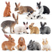 TOYMANY Pack in 12 pcs Rabbit Miniature Figure Realistic Animal ‎Model 6+ NEW_6