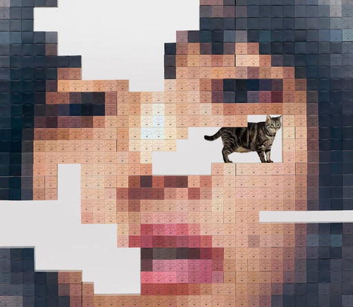 Aimyong Neko ni Jealousy [CD+2Blu-ray+Tour Photo Booklet] Ltd/ed. WPZL-32144 NEW_1