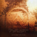 [UHQCD] Selected Ambient Works Volume 2 Expanded Edition Aphex Twin BRC771 NEW_1