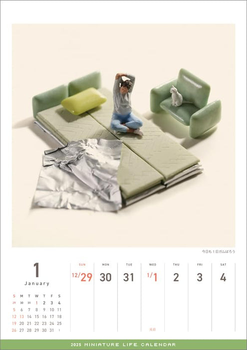 WALL Calendar 2025 Miniature Life Tatsuya Tanaka Hagoromo A4 56page CL25-0466_2