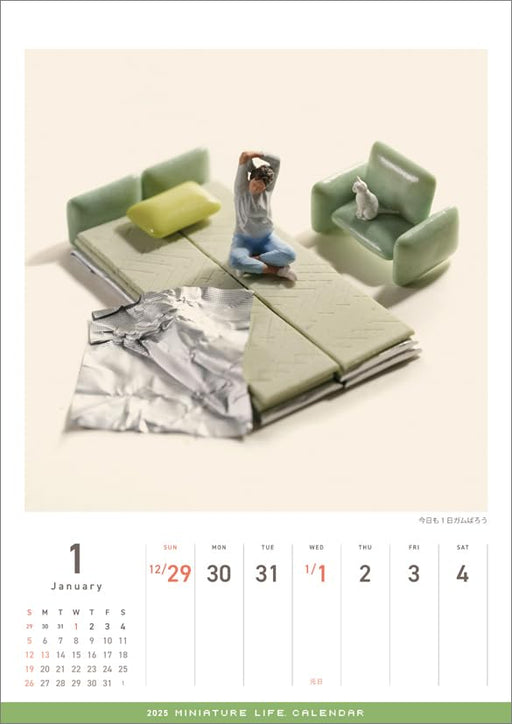 WALL Calendar 2025 Miniature Life Tatsuya Tanaka Hagoromo A4 56page CL25-0466_2