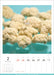 WALL Calendar 2025 Miniature Life Tatsuya Tanaka Hagoromo A4 56page CL25-0466_3