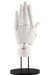 Kotobukiya ARTIST SUPPORT ITEM HAND MODEL/L White 1/1 Action Figure AT008 NEW_1