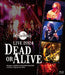 [Blu-ray] Mardelas Live 2024 Dead or Alive Standard Edition KIXM-590 Metal NEW_1