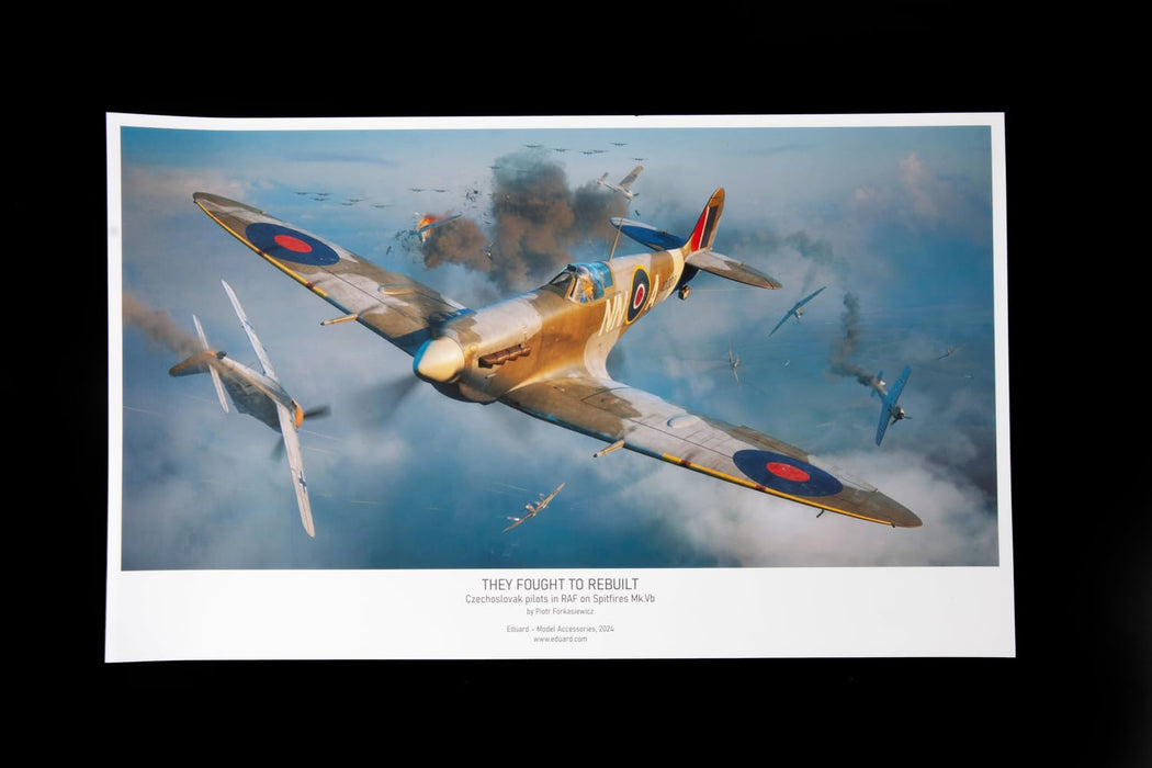 Eduard 1/48 They Fought to Rebuild Dual Combo Limited Edition Model Kit EDU11180_5