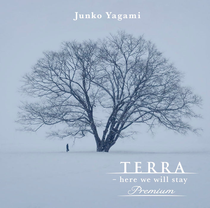 Junko Yagami TERRA here we will stay Premium [CD] Nomal Edition MHCL-3106 NEW_1