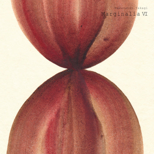 LP Takagi Masakatsu Marginalia VI Limited Edition SIJP1150 Easy Listening NEW_1