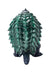 CCP Middle Size Series Gamera Vol.1 Gamera (1999) Standard Ver. Sofvi Figure NEW_3