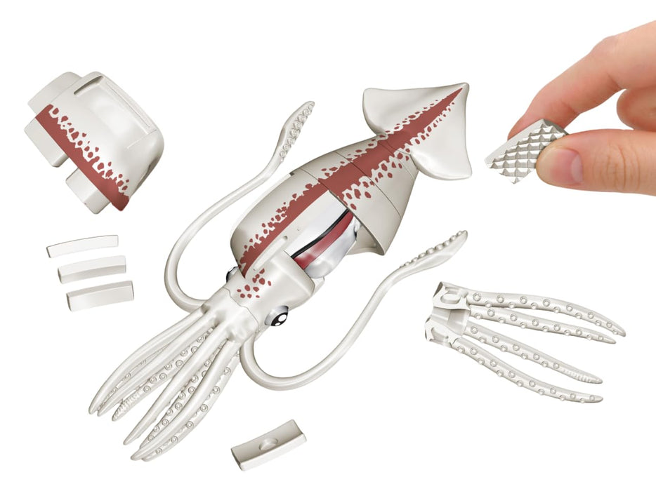 MegaHouse Whole Squid butchering 3D puzzle 30 pieces W69xD32xH145mm MGH51899 NEW_1