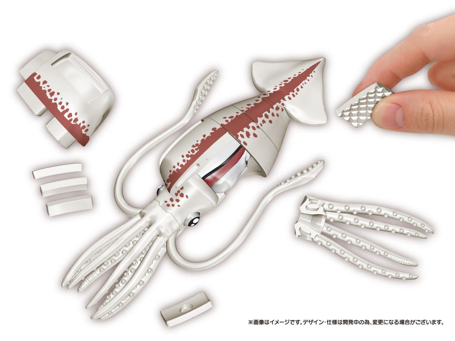 MegaHouse Whole Squid butchering 3D puzzle 30 pieces W69xD32xH145mm MGH51899 NEW_2