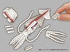 MegaHouse Whole Squid butchering 3D puzzle 30 pieces W69xD32xH145mm MGH51899 NEW_3