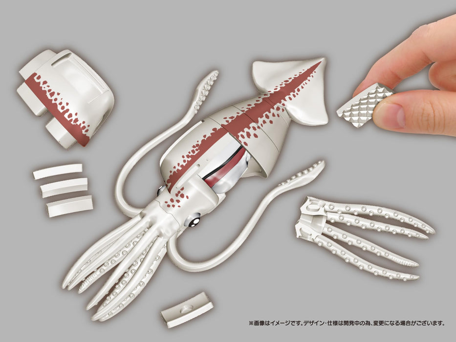 MegaHouse Whole Squid butchering 3D puzzle 30 pieces W69xD32xH145mm MGH51899 NEW_3