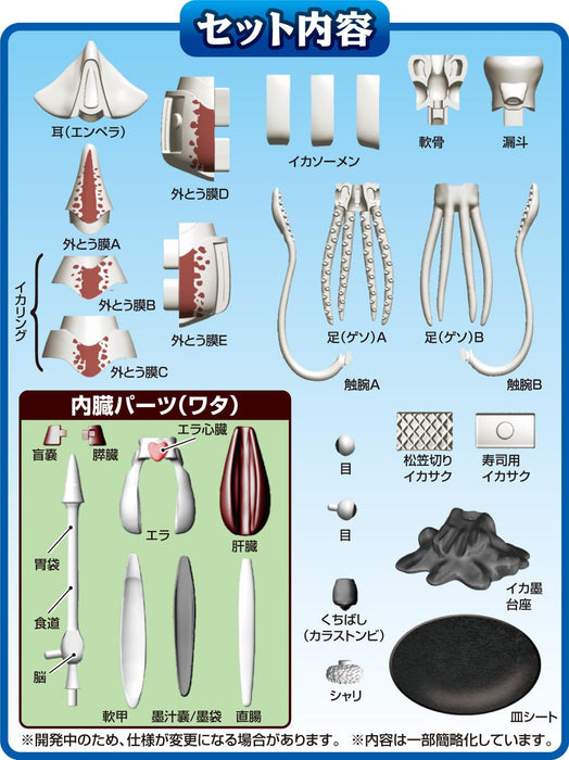 MegaHouse Whole Squid butchering 3D puzzle 30 pieces W69xD32xH145mm MGH51899 NEW_5