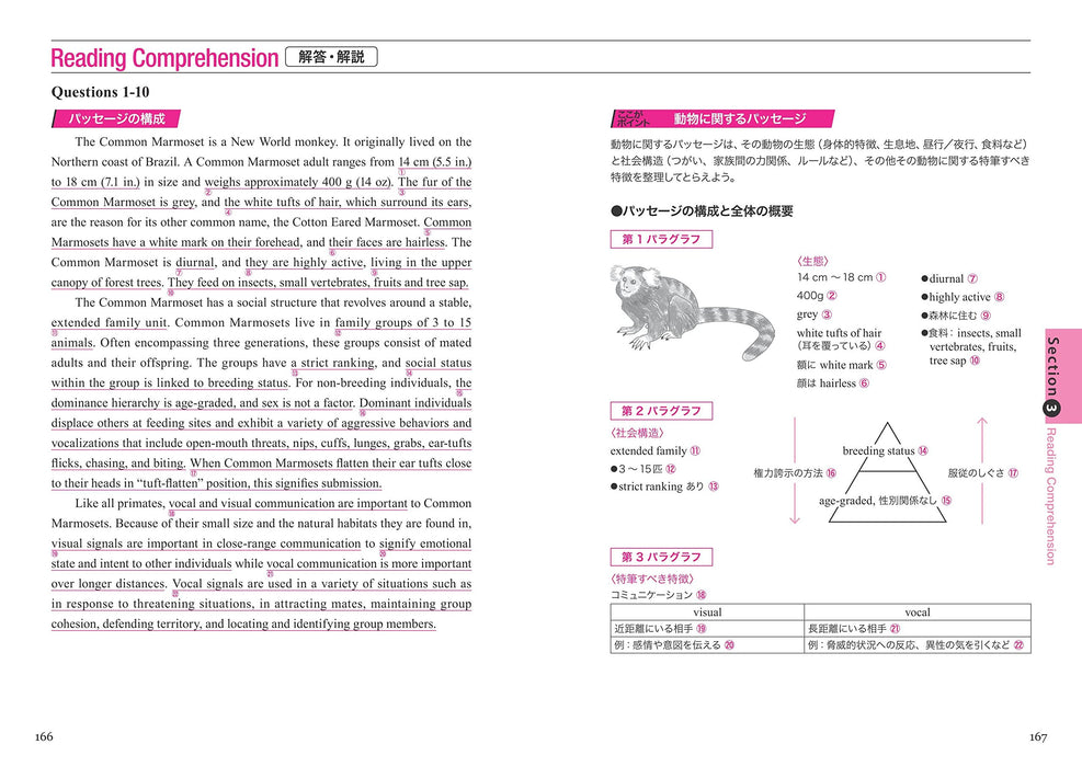 [With CD] Complete preparation for the first TOEFL ITP test, revised version NEW_7