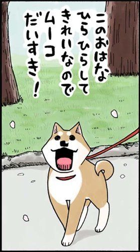 Lovely Muco vol.3 Kodansha Evening comics Takayuki Mizushina from Japan_4