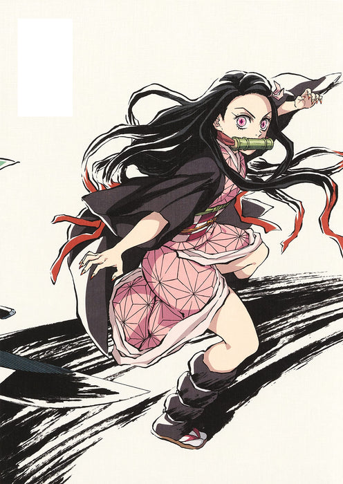 Demon Slayer: Kimetsu no Yaiba Illustration record collection Vol.1 Anime Manga_4