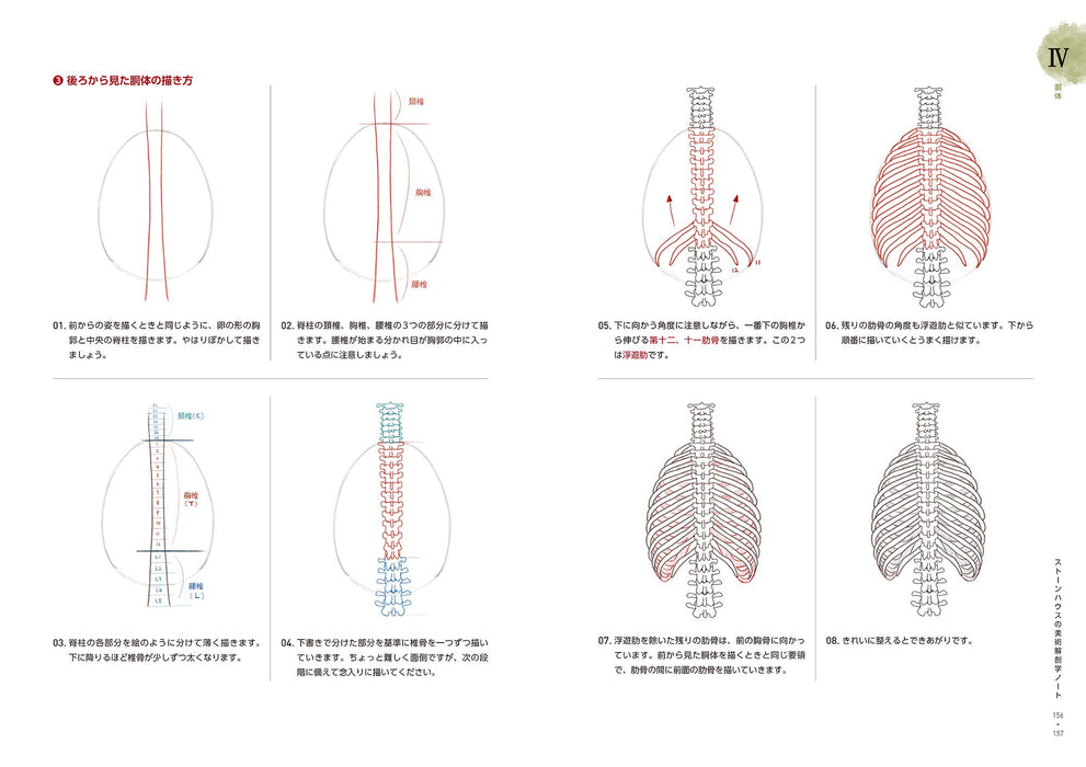 Stonehouse's Anatomy Note Socca Suk Jong Hyun How to Draw Human body Art Book_3