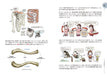 Stonehouse's Anatomy Note Socca Suk Jong Hyun How to Draw Human body Art Book_5