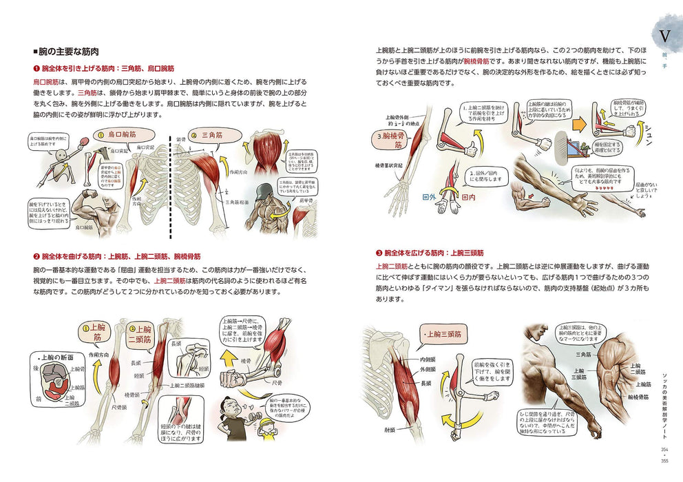 Stonehouse's Anatomy Note Socca Suk Jong Hyun How to Draw Human body Art Book_6