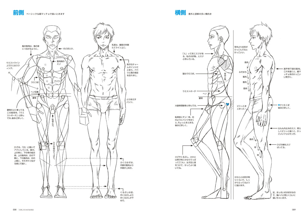 How to Draw Men's Hips drawing guide book Chikarainu Shinshokan Illustration NEW_4