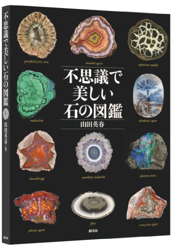 Picture book of Beautiful and Wonder Stone (Book) NEW from Japan_1