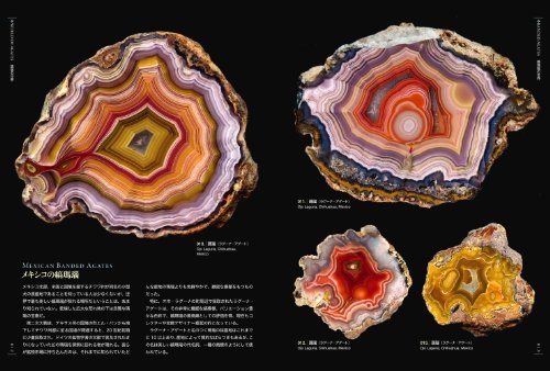 Picture book of Beautiful and Wonder Stone (Book) NEW from Japan_2