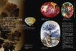 Picture book of Beautiful and Wonder Stone (Book) NEW from Japan_5