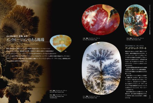 Picture book of Beautiful and Wonder Stone (Book) NEW from Japan_5