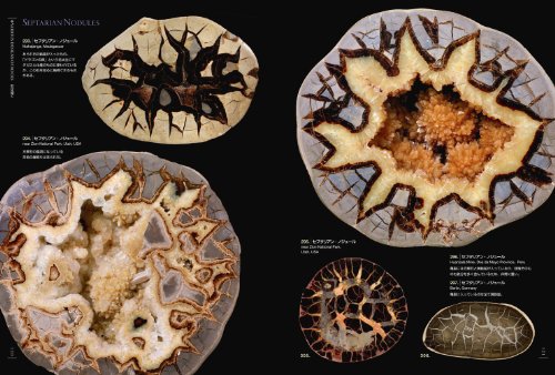 Picture book of Beautiful and Wonder Stone (Book) NEW from Japan_6