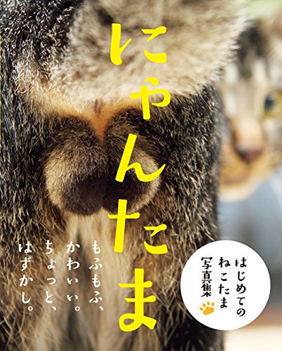 Picture Book NYAN-TAMA Cat Testicles Male Cats Furry Balls Japanese Photo Book_2
