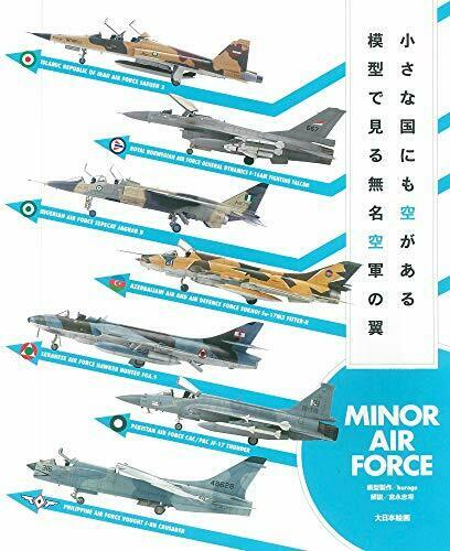 Dai Nihon Kaiga Minor Air Force (Book) NEW from Japan_1