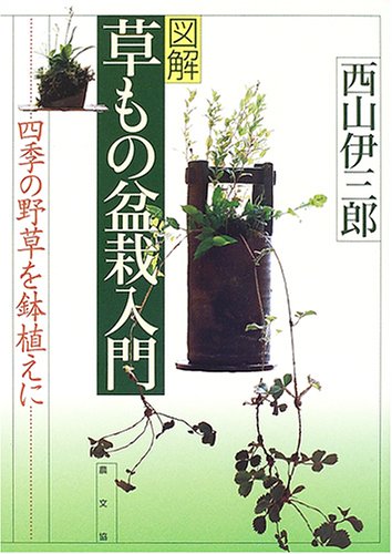 Illustrated Introduction to Kusamono Bonsai For potted plants of the fourseasons_1