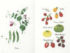 bunka syuppann Garden of vegetables picture book Kazuko Aoki of embroidery NEW_3
